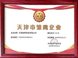 天津市雏鹰企业