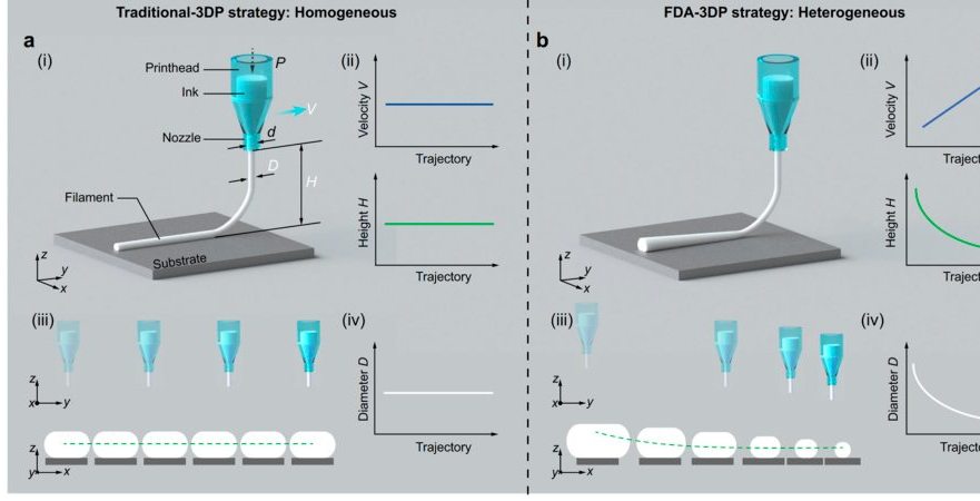 FDA-3DP变截面梯度结构策略