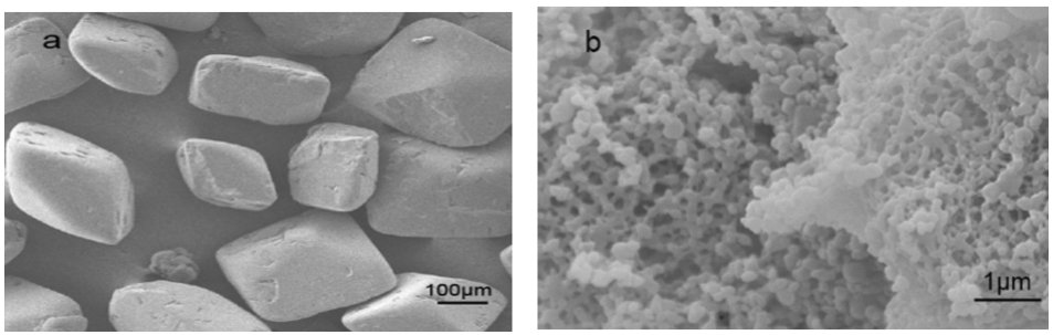 图2（对应原文 Fig.2）：原料 CL-20 与亚微米 CL-20 粉末的 SEM 形貌