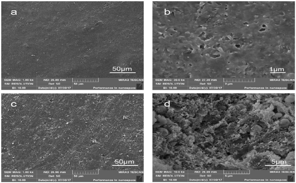 图4（对应原文 Fig.3）：固化后 CL-20 基复合材料表面与截面 SEM