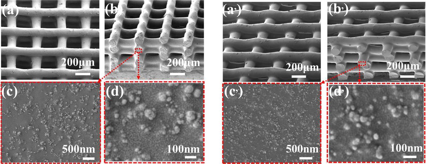 3D打印硅橡胶立方点阵SEM